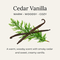 Little Seed Farm Déodorant Crème Cedar Vanilla, cuillère en bois incluse pour prélever la pâte.