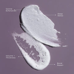 Poudre de charbon actif LolaVie démontrant action purifiante et detox.