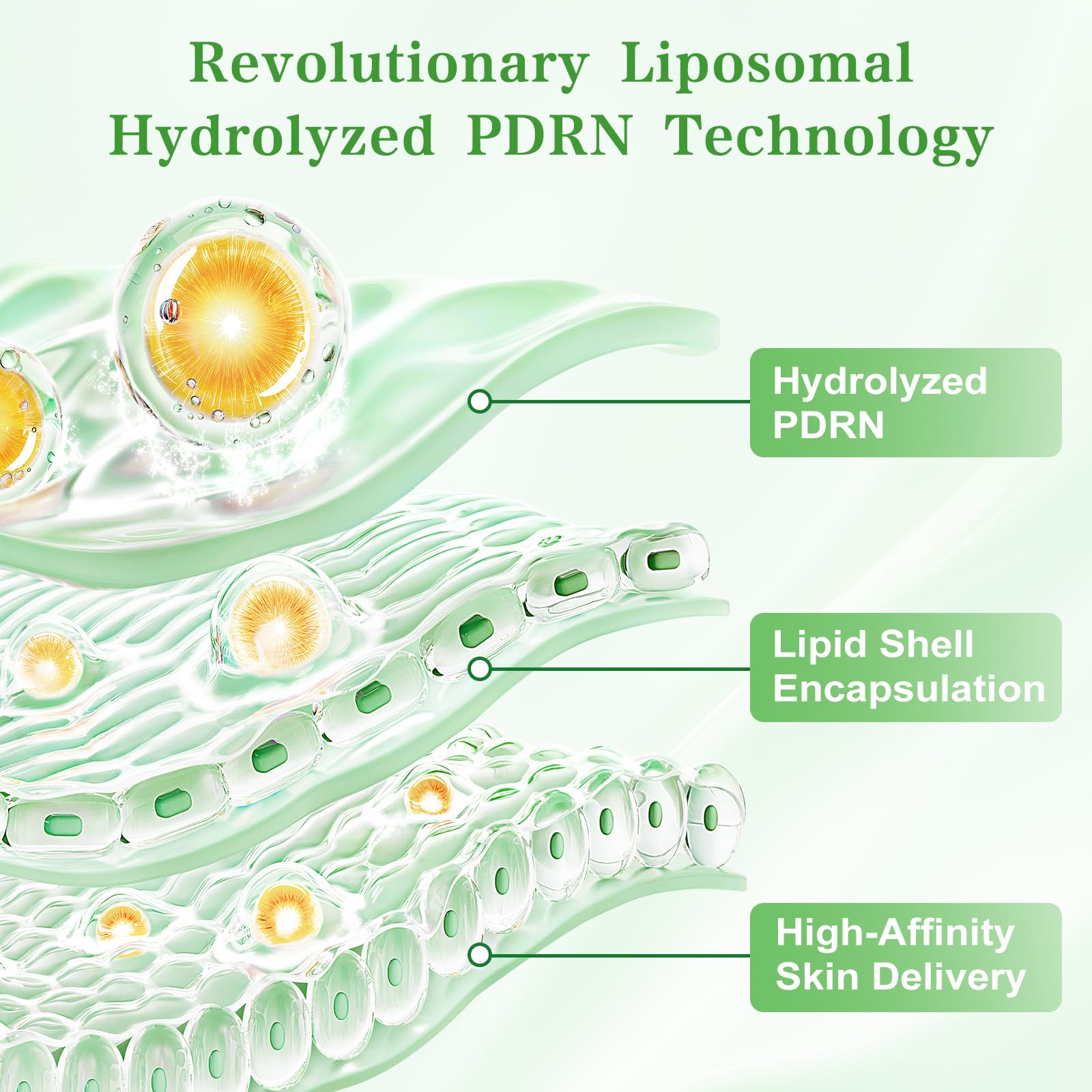 Lolx complexe multi-actif ADN sur flacon — teint plus lumineux et équilibré.