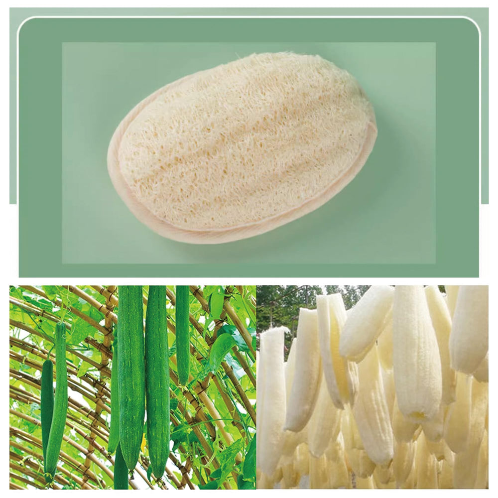 Loofah naturel – gommage efficace avec savon ou gel douche.