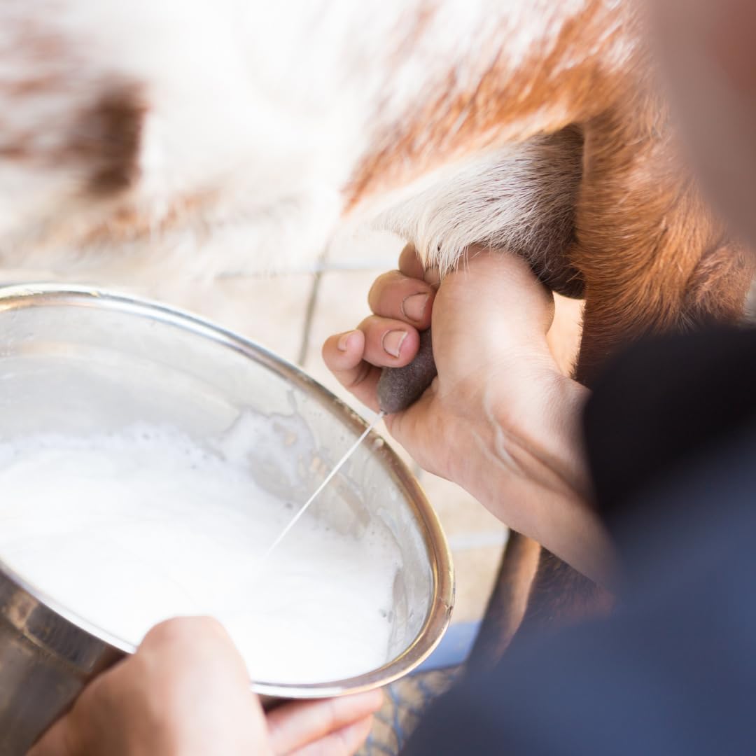 Lotion suif lait chèvre - formulation artisanale: soin fait main.