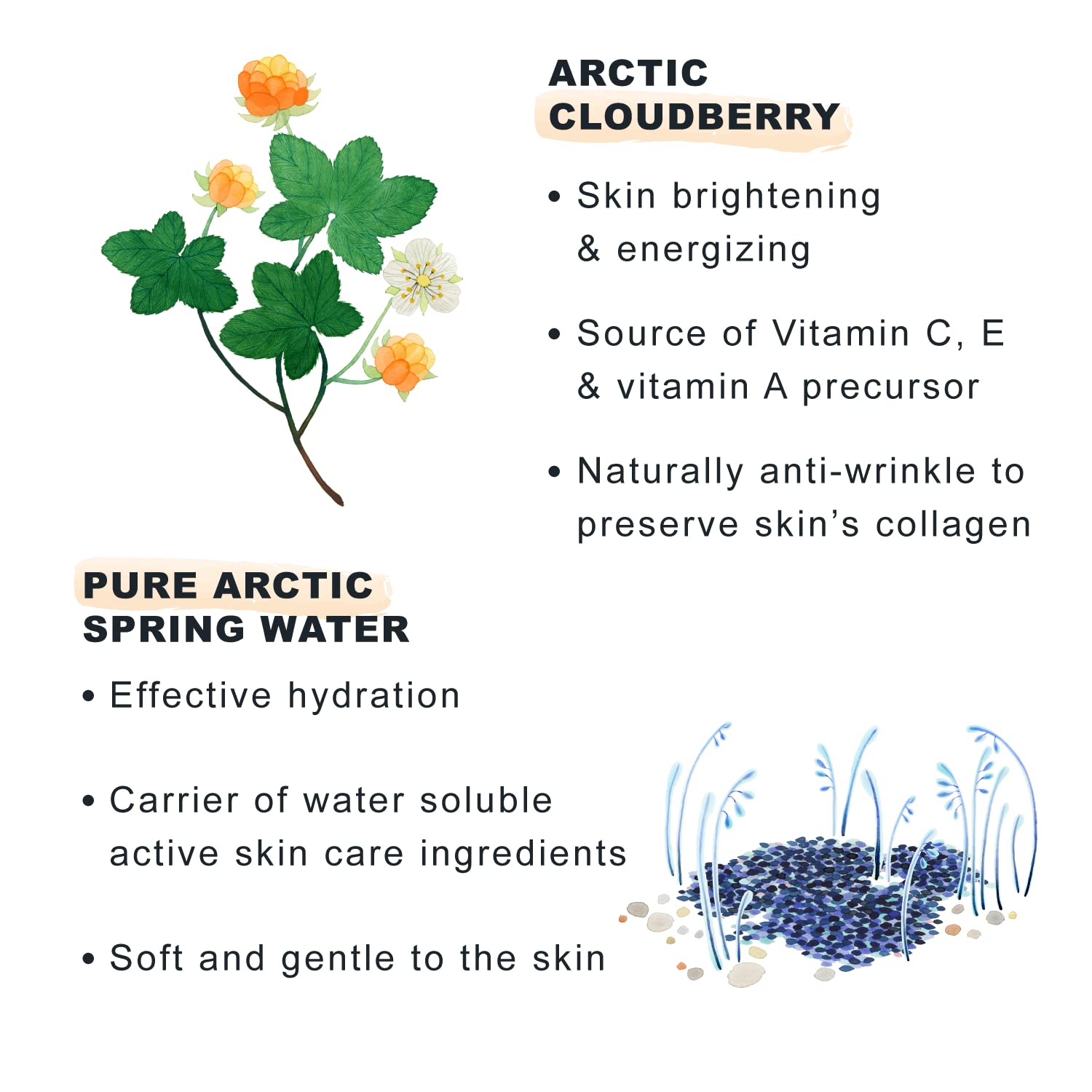 Vitamine C nordique dans le soin Lumene Pure Glow pour l’éclat.