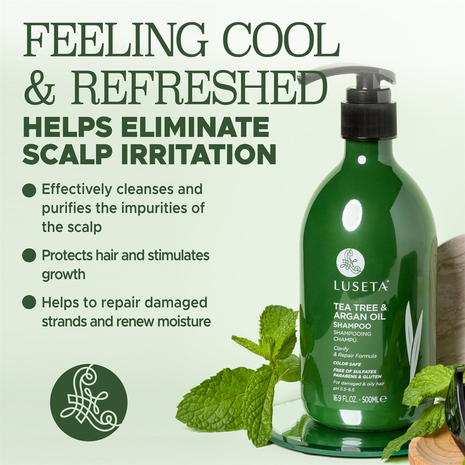 Goutte d’huile d’argan avec arbre à thé, illustrant hydratation ciblée pour les longueurs.