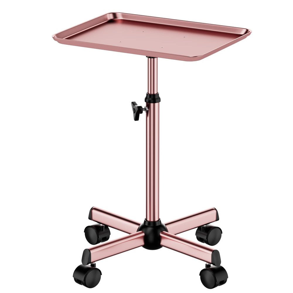 LWADALN plateau-salon-roulant: plateau robuste et stable pour les services professionnels.