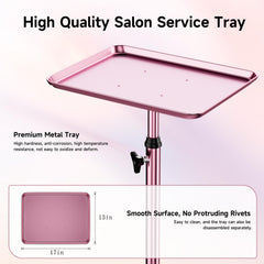 LWADALN plateau de soin rose, surface stable pour outils et produits