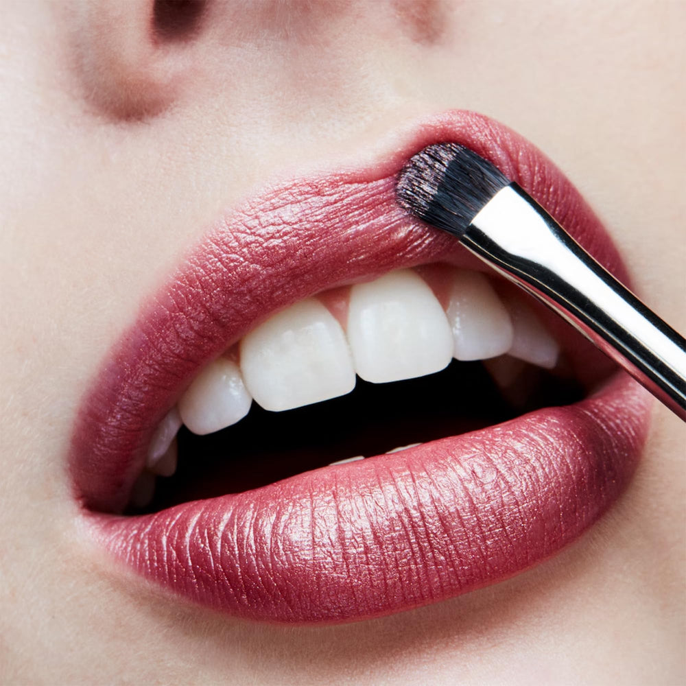 MAC Frost Plum Dandy – couleur universelle qui convient à de multiples carnations.