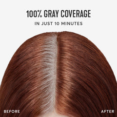 Madison Reed Root Perfection Pesaro 6R – activateur intégré pour couleur homogène.