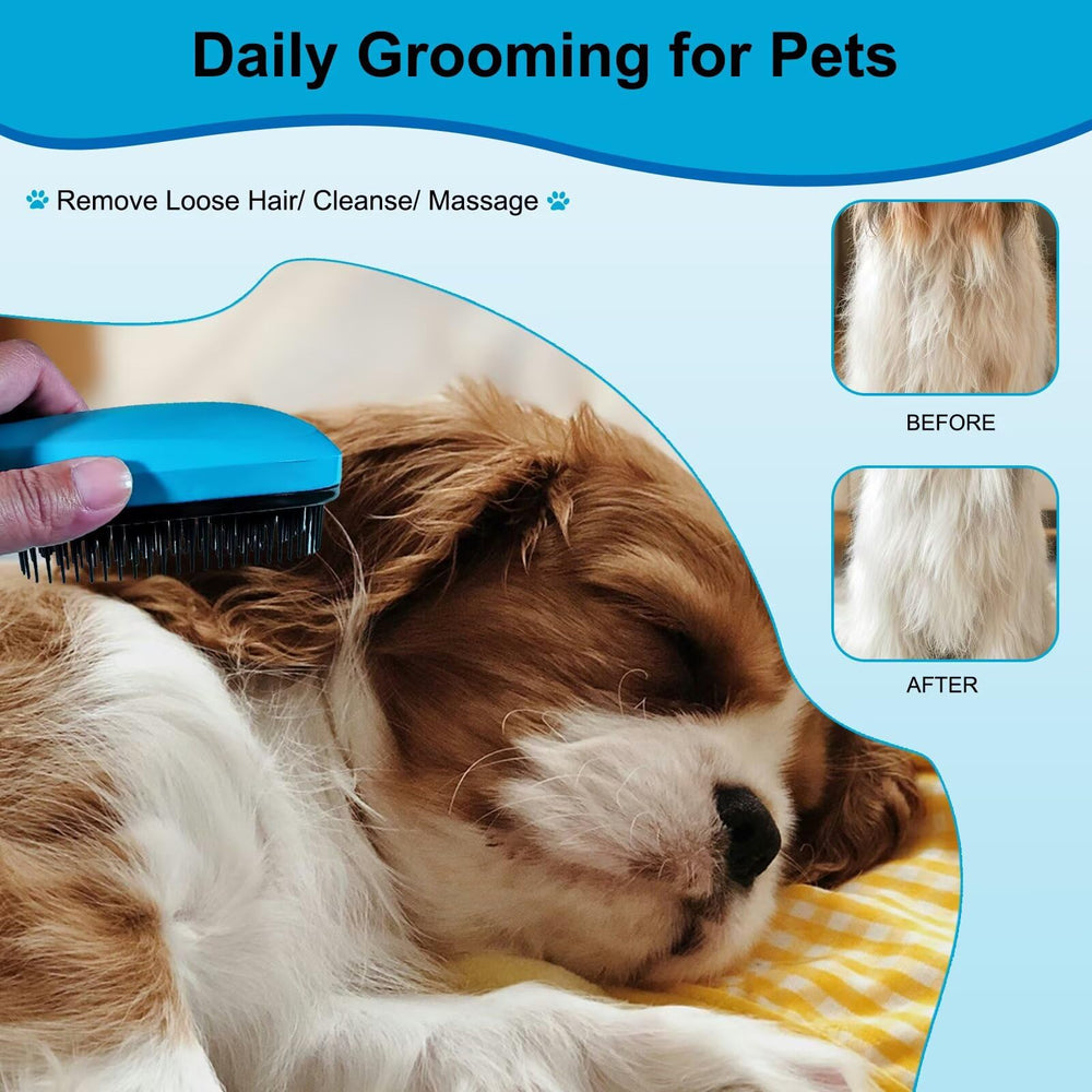 MAEELOU brosse chiot adaptée Maltais Maltipoo à domicile