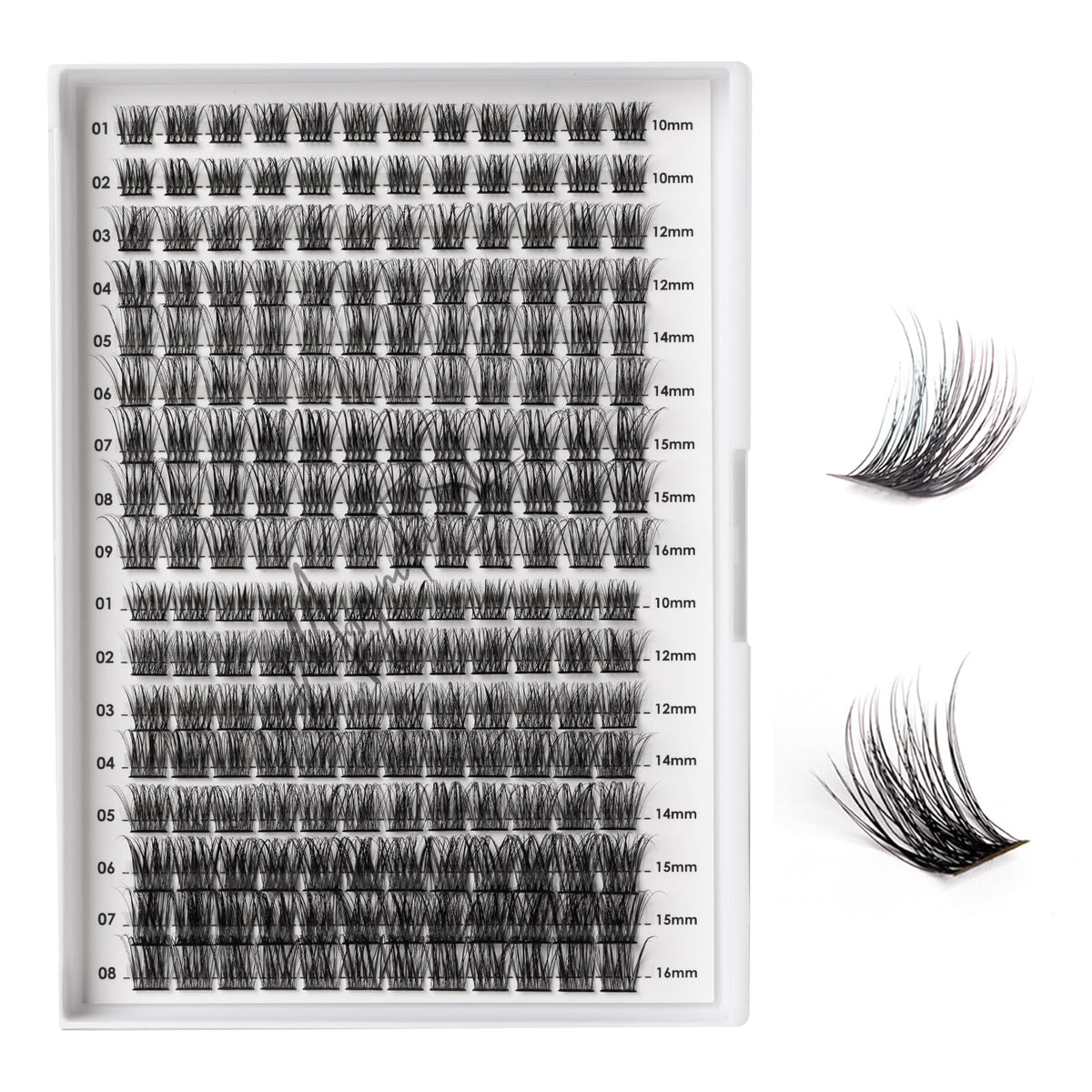 Boîte Magnetic SL avec 204 faisceaux pour créations de cils à faire soi-même