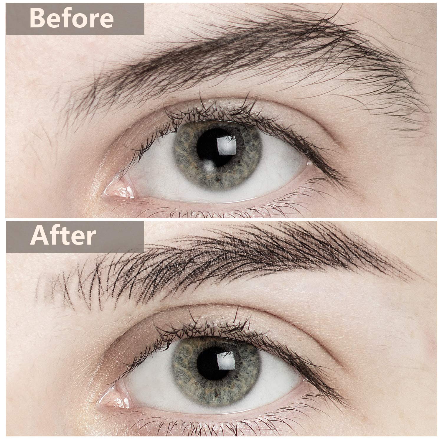 Maitys adhesion sourcils 4D ferme pour une application fiable