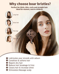 Brosse idéale pour cheveux mouillés et secs, démêlage en douceur