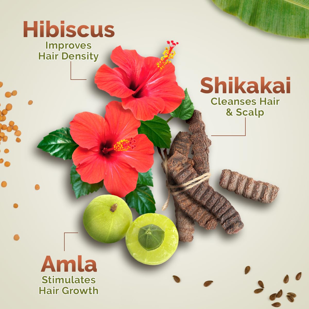 MAMAEARTH Kerala Thaali : soin doux adapté à tous les types de cheveux.