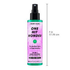 MANE CLUB One Hit Wonder cheveux démêlés et lisses après l'application.