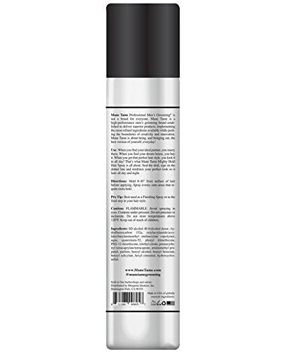 MANE TAME bouteille 10oz séchage rapide pour coiffage efficace