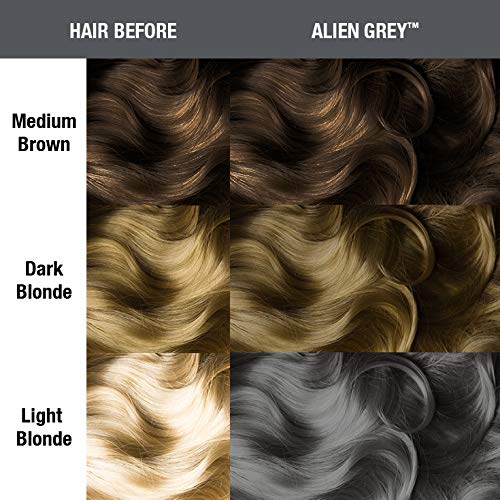 MANIC PANIC Alien Grey look en salon démontrant une couleur froide et moderne