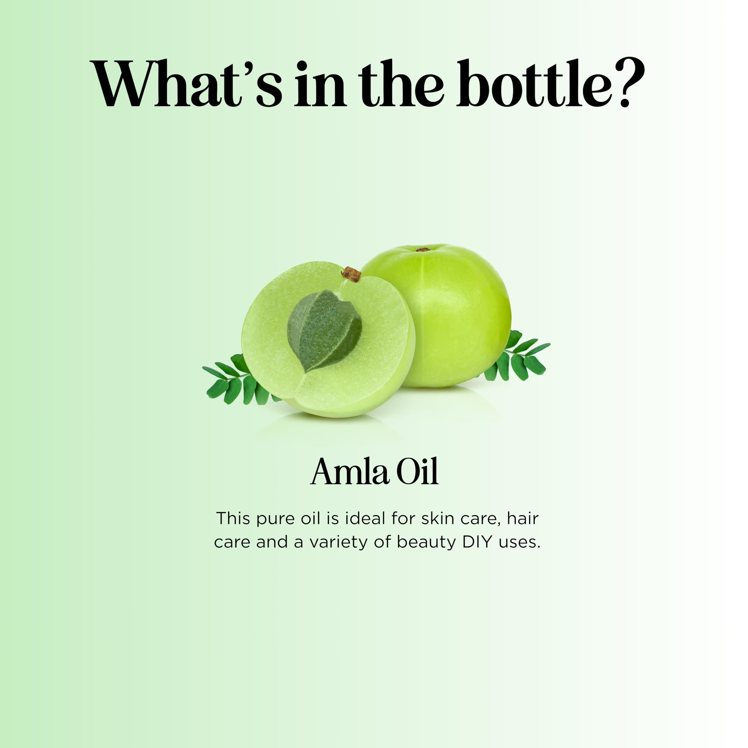 Maple Holistics Amla Oil glass bottle backdrop suggesting premium storage.