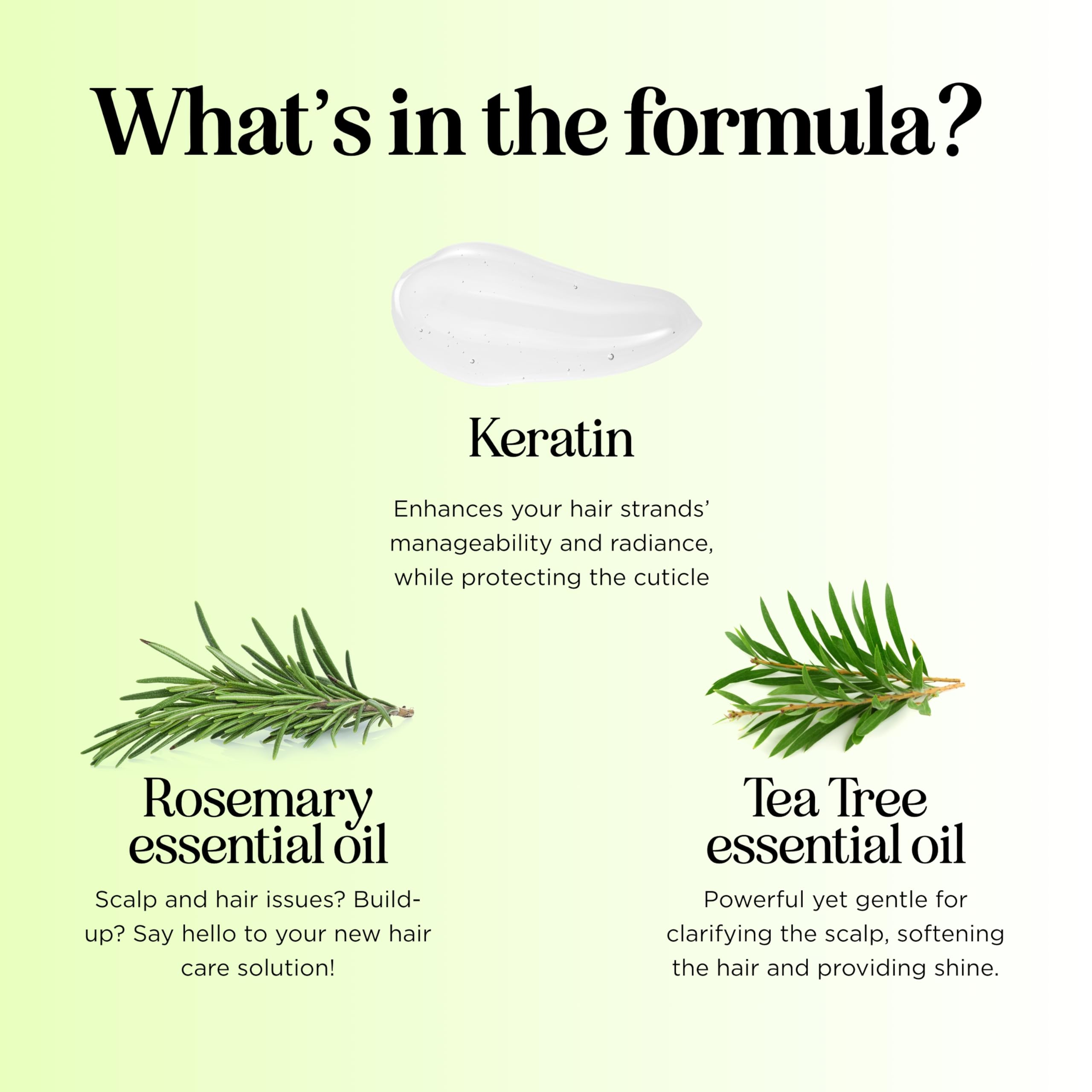 Maple Holistics ingredients arbre à thé - extrait naturel pour cheveux propres.