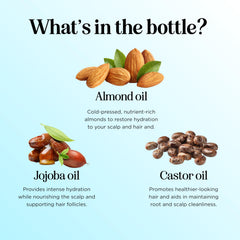 Ingrédients clés argan moringa rosehip pour cheveux nourris et sains