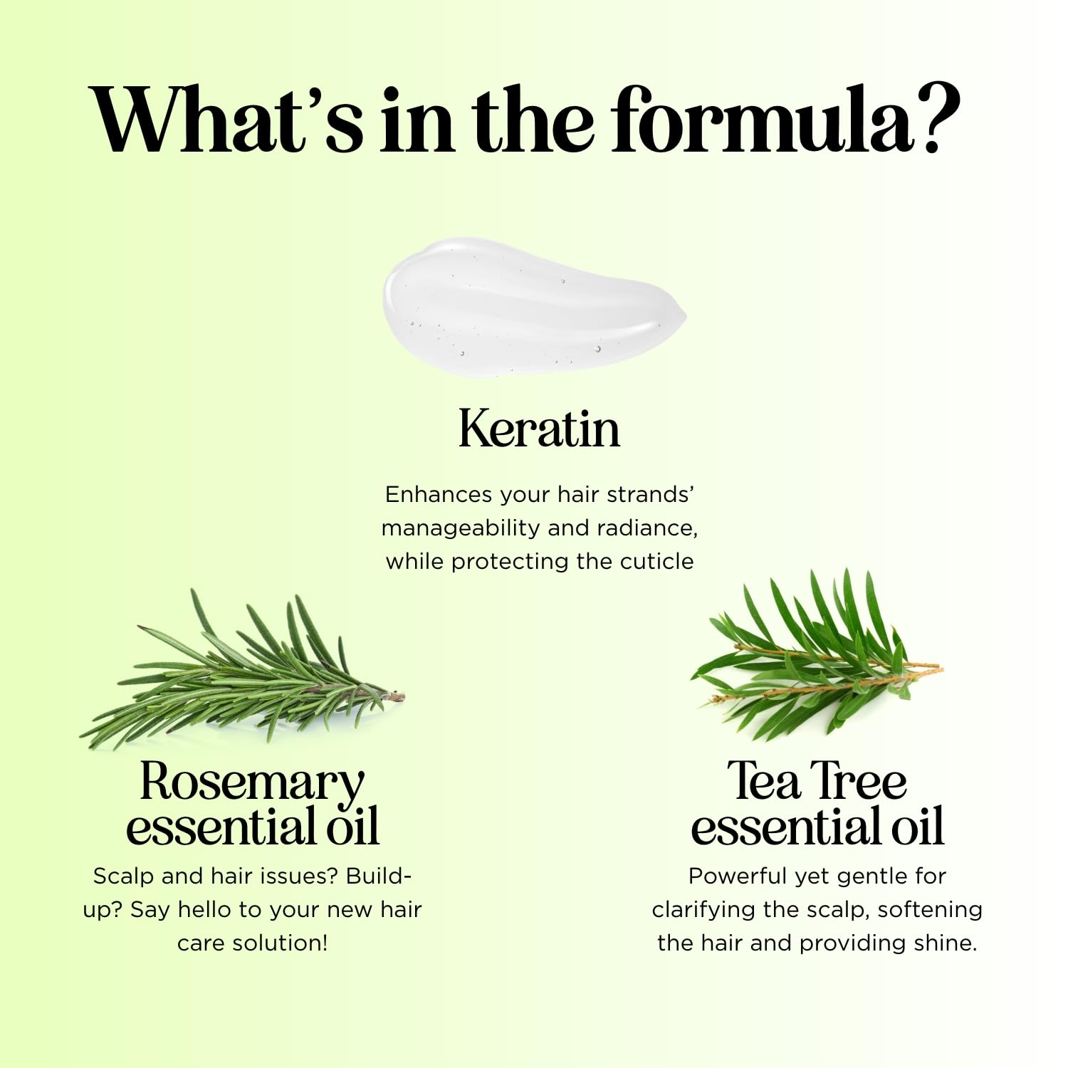 Maple Holistics Application mains : facile à utiliser sous la douche.