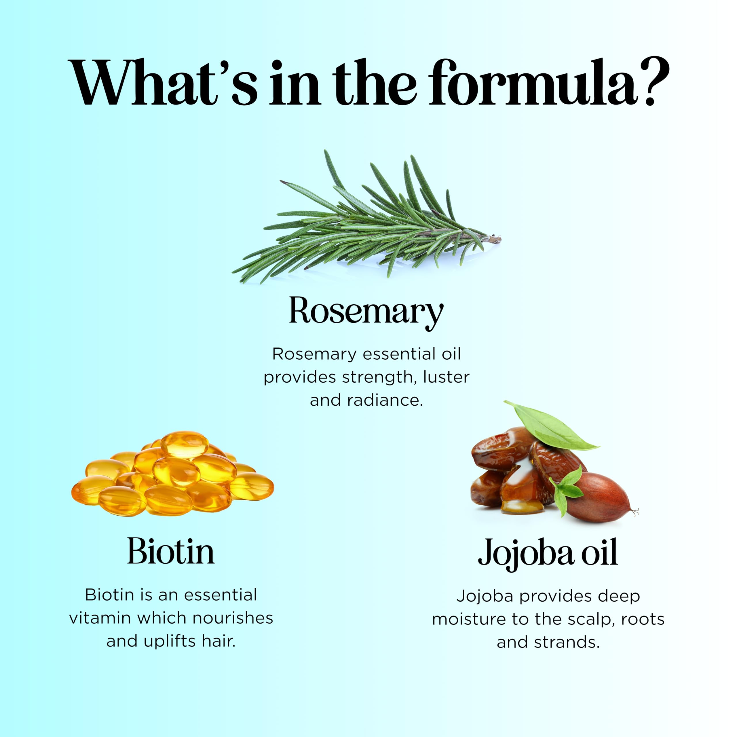 Maple Holistics Application Romarin Biotine – main dans la main, parfum frais et hydratation