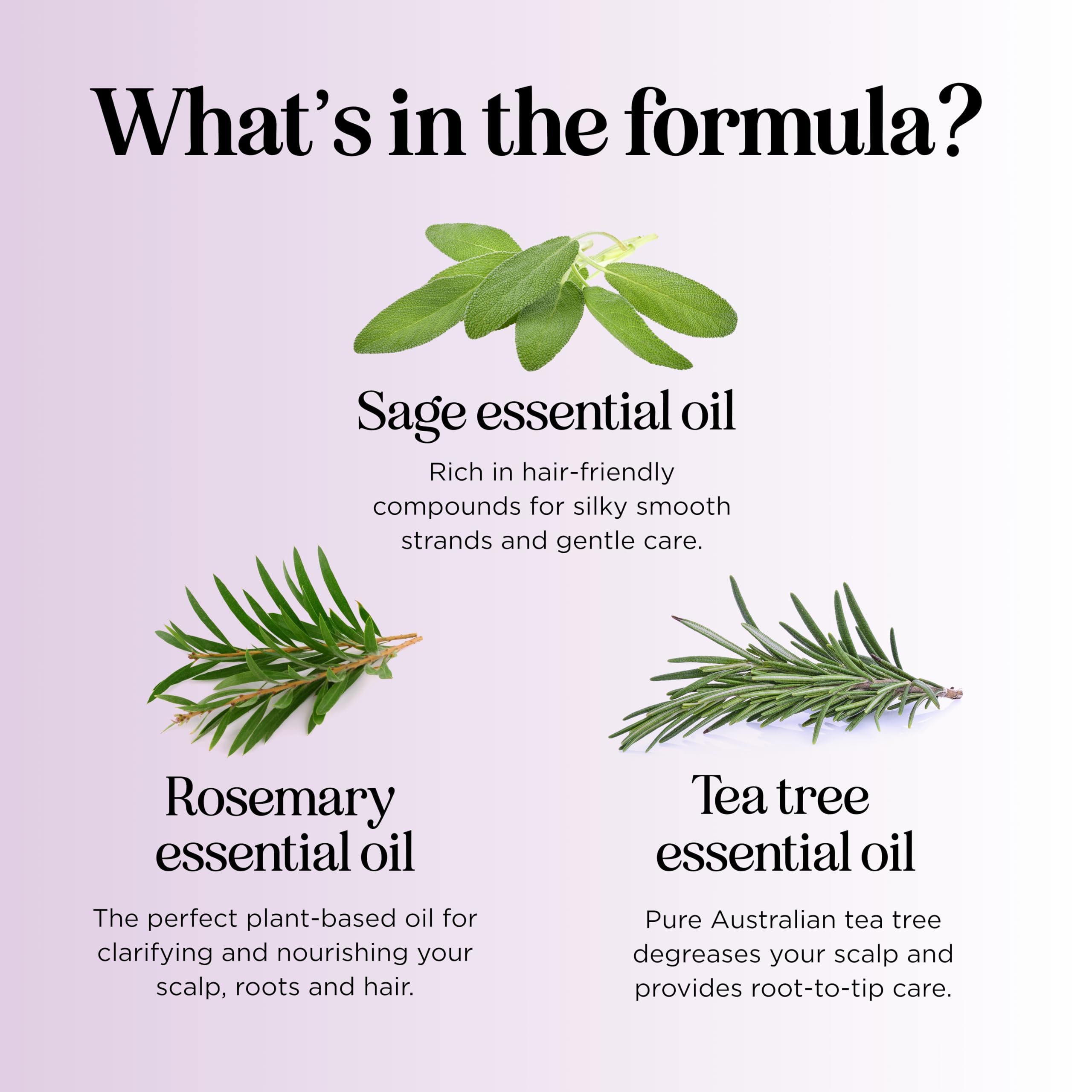Maple Holistics – ingrédients naturels et huiles essentielles pour un rituel capillaire apaisant.