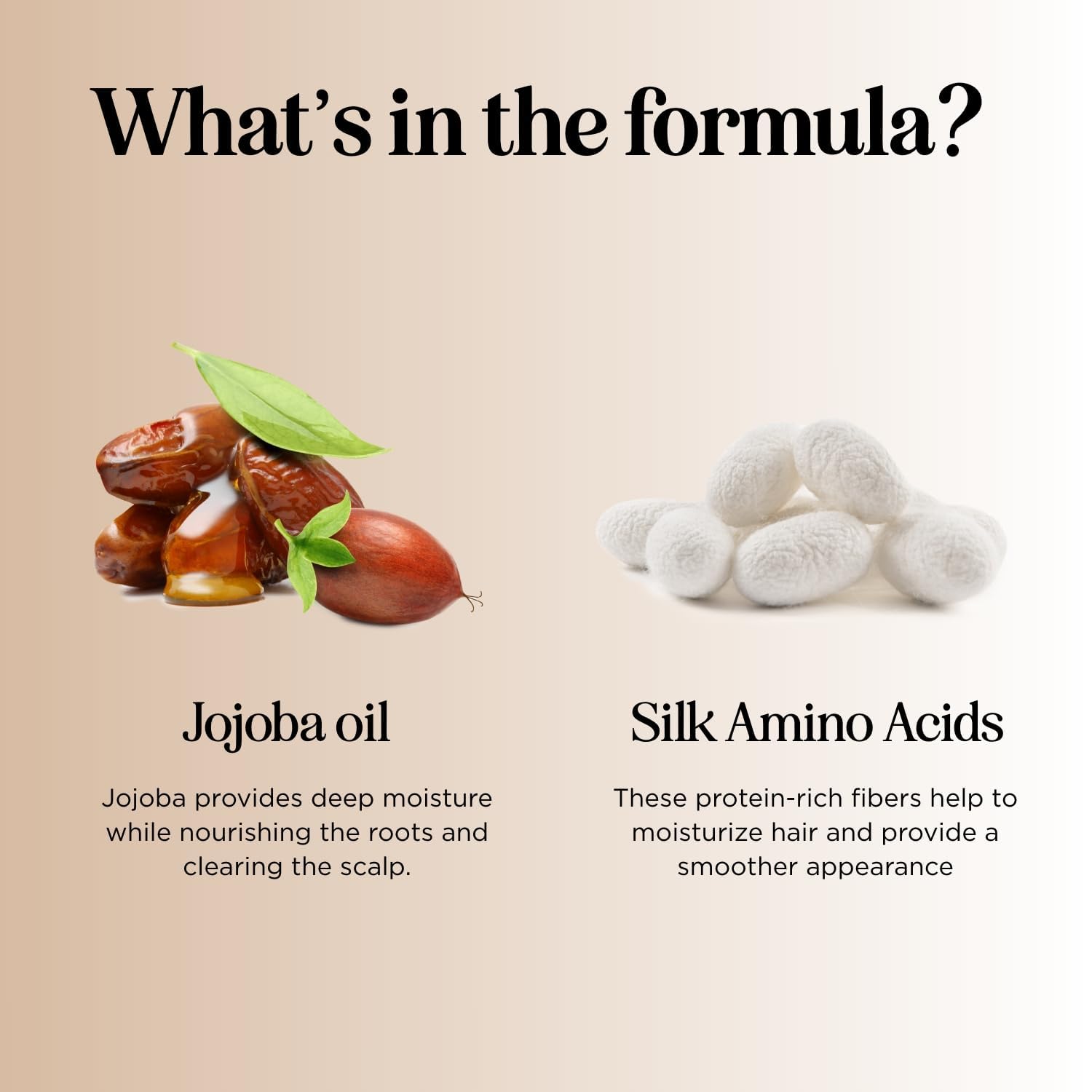 Maple Holistics Silk18 salon display shows sulfate-free color-safe formula