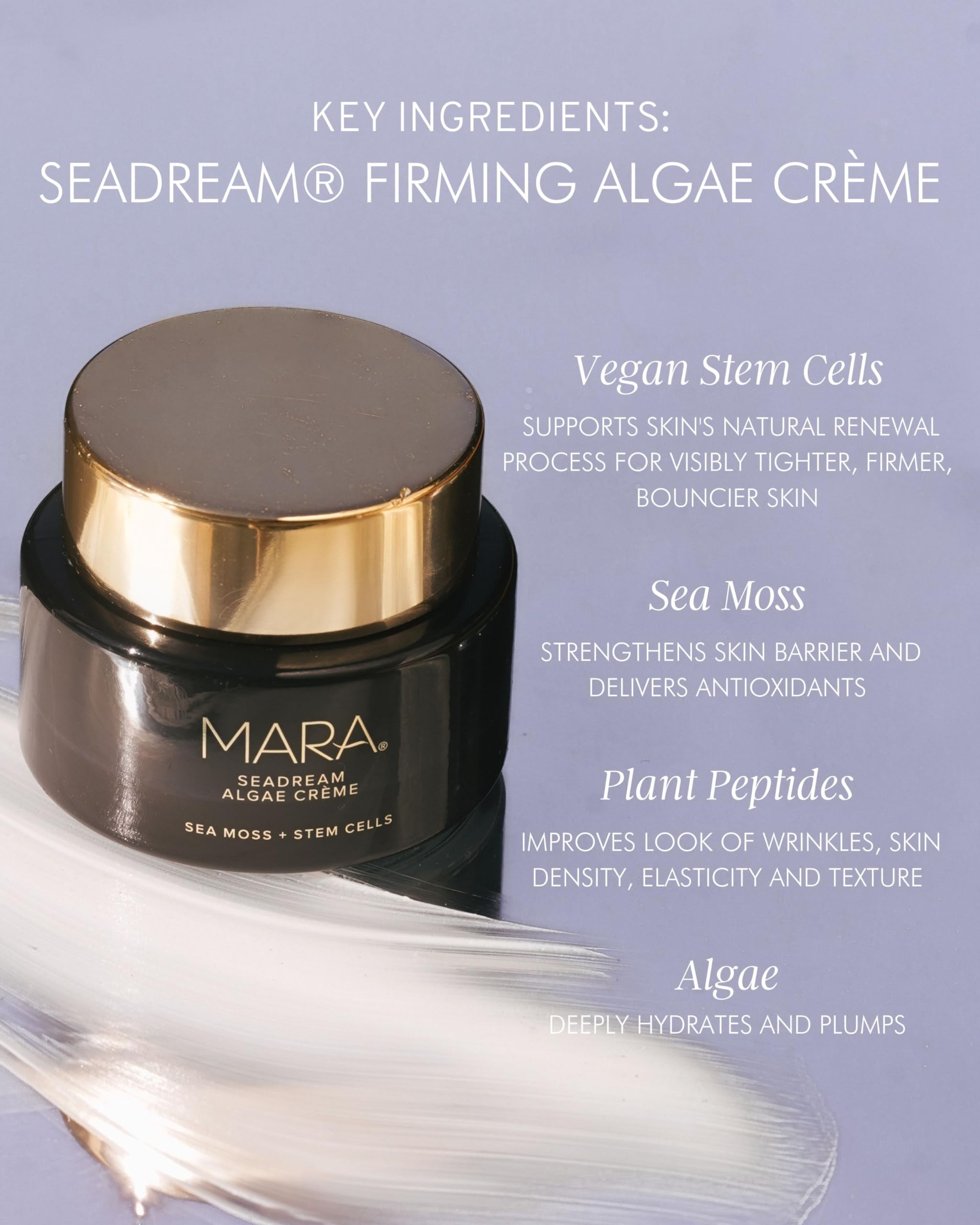 Ingrédients algues marines dans MARA SeaDream Crème pour renforcer la barrière.