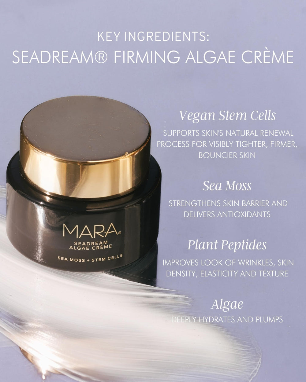 Ingrédients algues marines dans MARA SeaDream Crème pour renforcer la barrière.