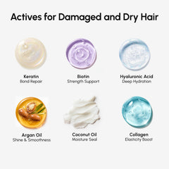 MAREE Huiles d’argan, jojoba et coco nourrissent en profondeur