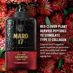 MARO17 Shampoing Parfait Nettoyage – extrait-d-algue pour purifié le cuir chevelu