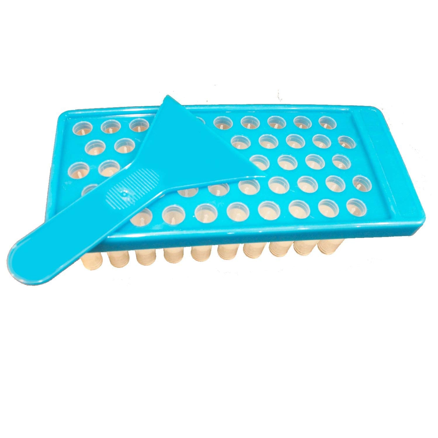 Kit Mary Tylor Naturals: 50 contenants transparents pour baumes à lèvres, faciles à ranger.