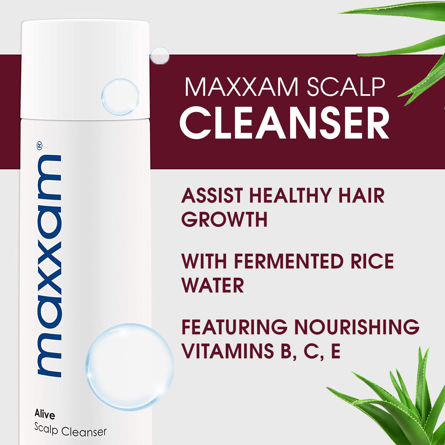 Maxxam Alive Cleansing Shampoo fermented rice foam creates a rich lather.