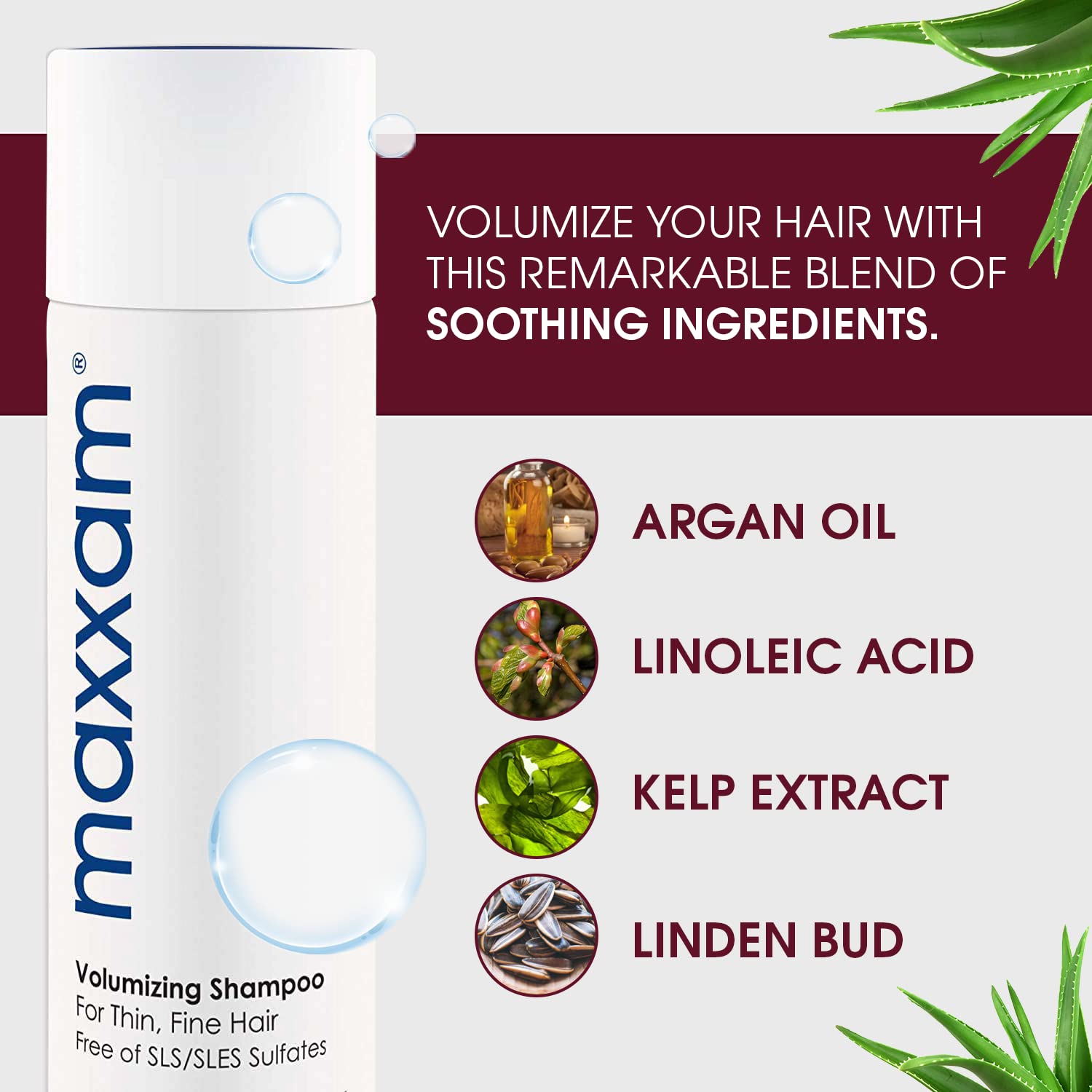 Maxxam Shampoing Volumisant Texture Cheveux: mousse légère qui enveloppe les cheveux.