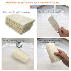 Éponge luffa MAYMII·HOME humide ramollie dans l eau pour plus de douceur