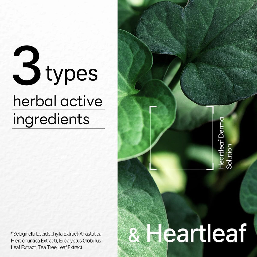 Mediheal Dermaplus Heartleaf : complexe d’herbes apaisant pour peau sensible