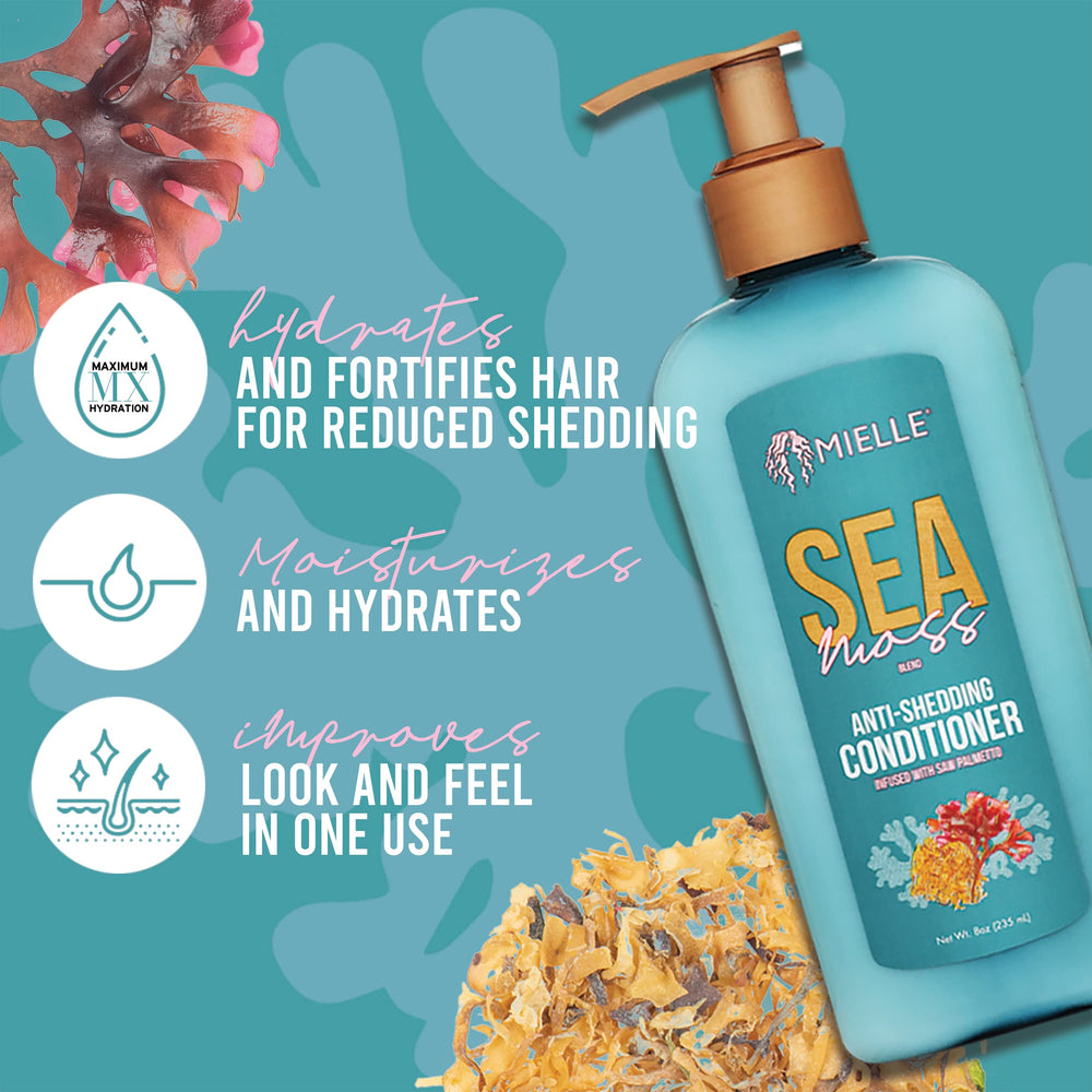 Mielle Organics Sea Moss Conditionneur Application : facilite l'hydratation et le démêlage.