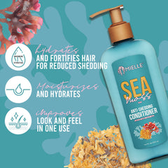 Mielle Organics Sea Moss Conditionneur Application : facilite l'hydratation et le démêlage.