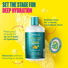 Application sur cheveux mouillés, mousse légère pour démêler avec Mielle Organics