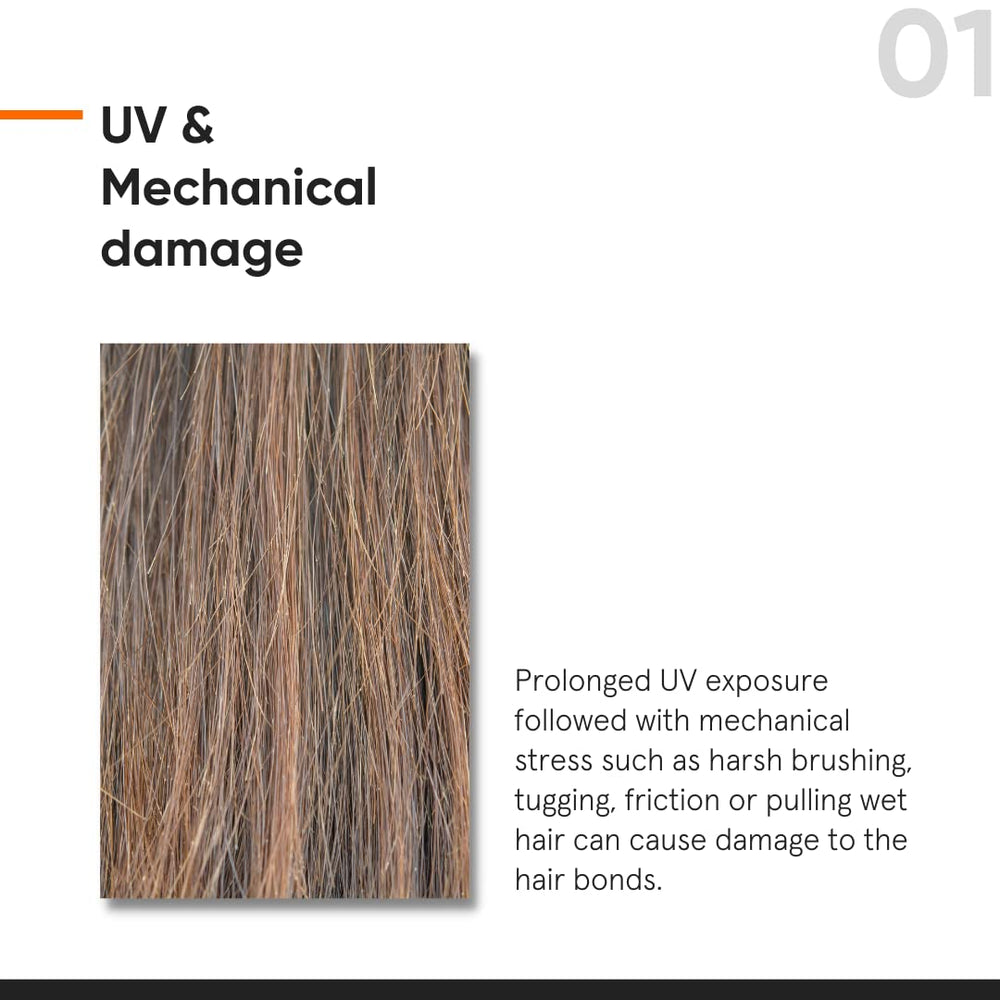 Huile d'argan et squalane nourrissent les cheveux.