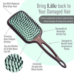 Brosse Mint paddle detanglage doux sur cheveux mouillés.