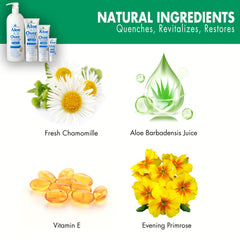 Miracle of Aloe - creme-main, soin quotidien des mains sèches