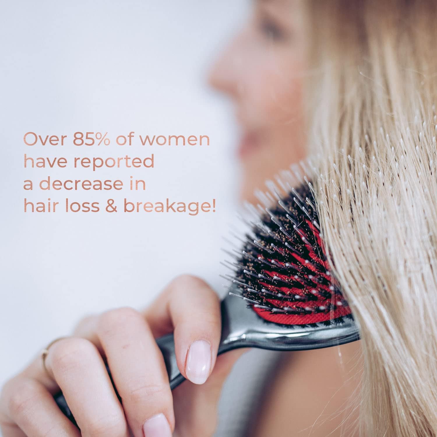 MISEL brosse avec garantie trois ans.