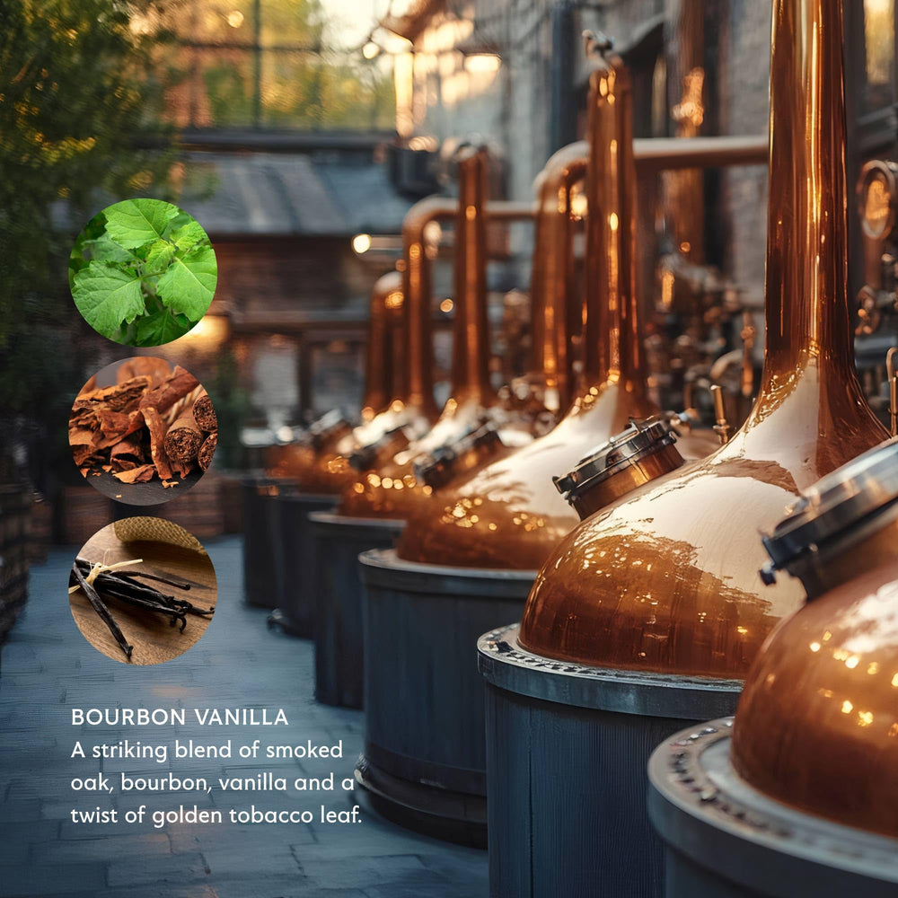 Mistral Bourbon Vanilla – parfum masculin boisé et chaleureux.