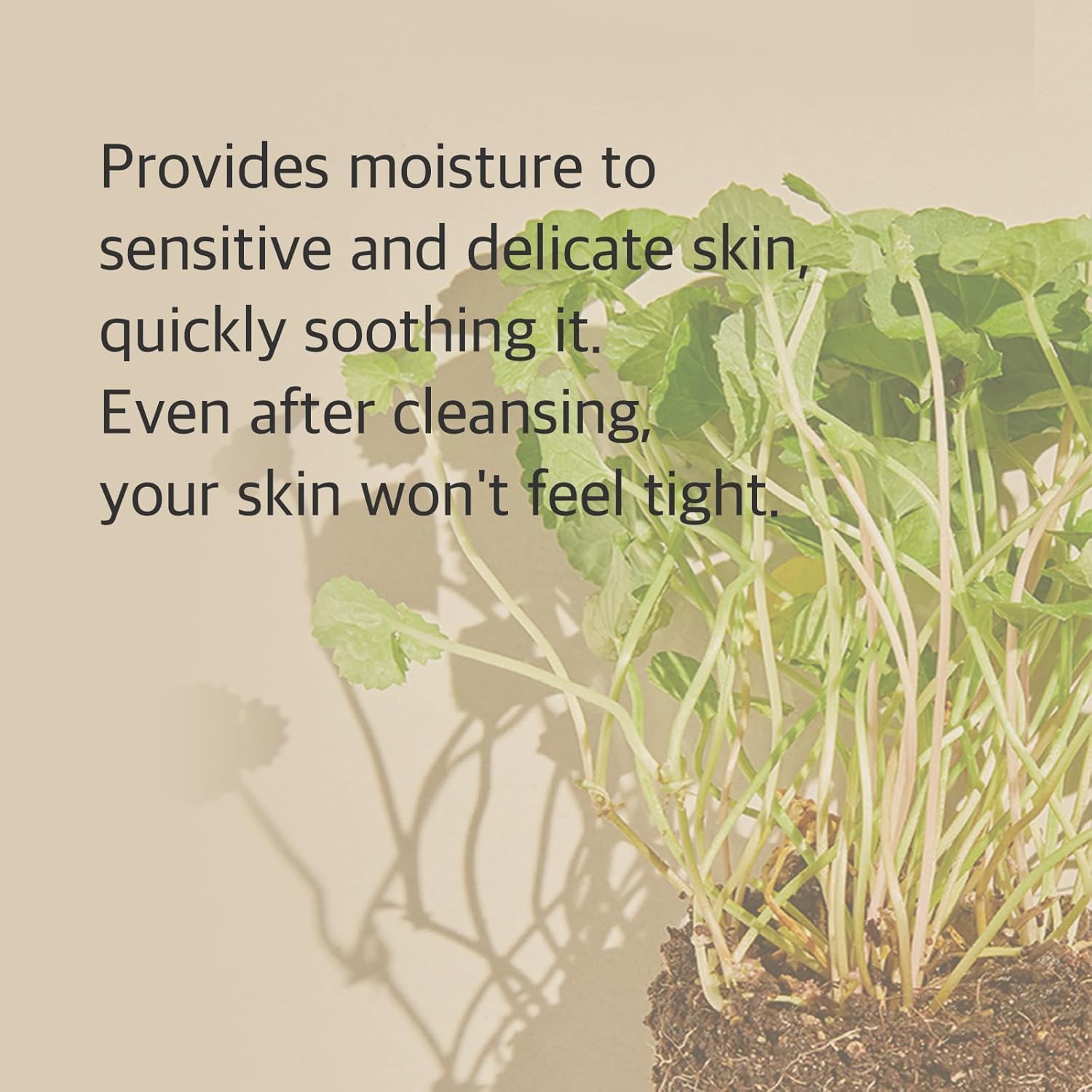 Mixsoon Centella Mousse Nettoyante, extrait Centella pour apaiser et hydrater.