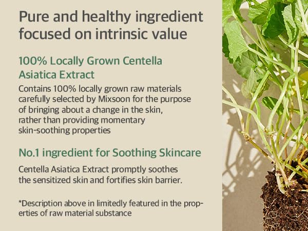 Mixsoon Soondy Centella : application mains hydratante et apaisante.