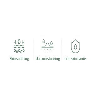 Mixsoon Soondy Centella : rituel quotidien simplifié pour la peau.