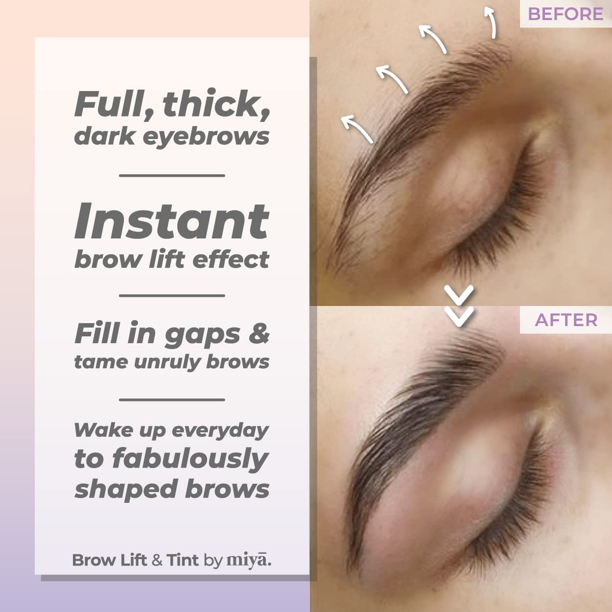 MIYA LASH modèle après lamination des sourcils pour regard défini