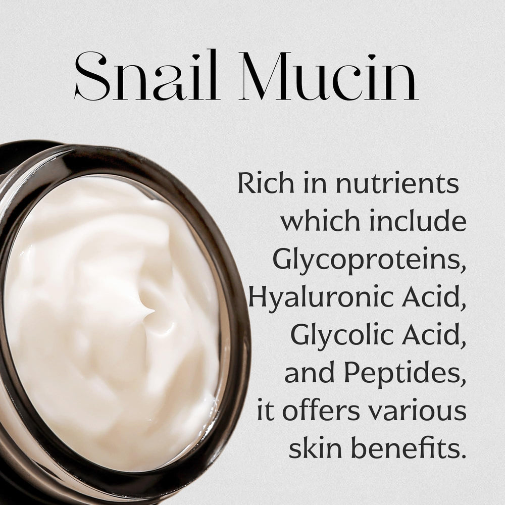 MIZON Crème Noire Escargot : peau hydratée jour après jour.