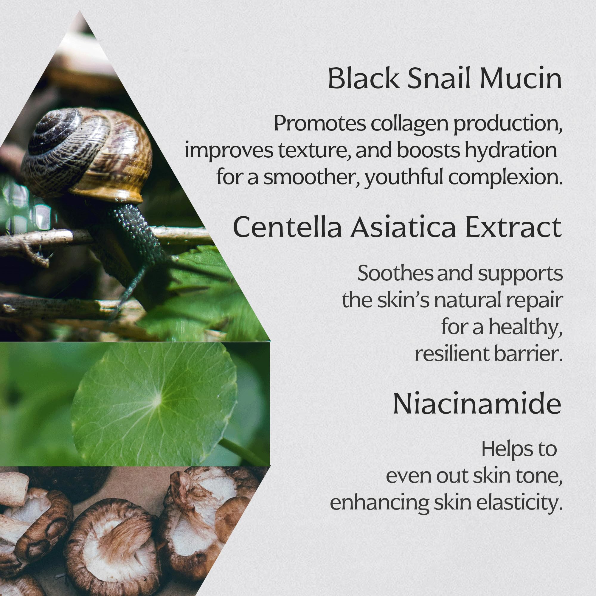 MIZON Crème Noire Escargot : rituel quotidien relaxant pour le visage.