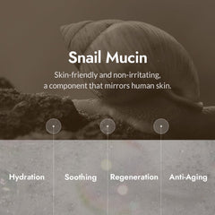 MIZON Soft exfoliation focuses on gentle pore care.